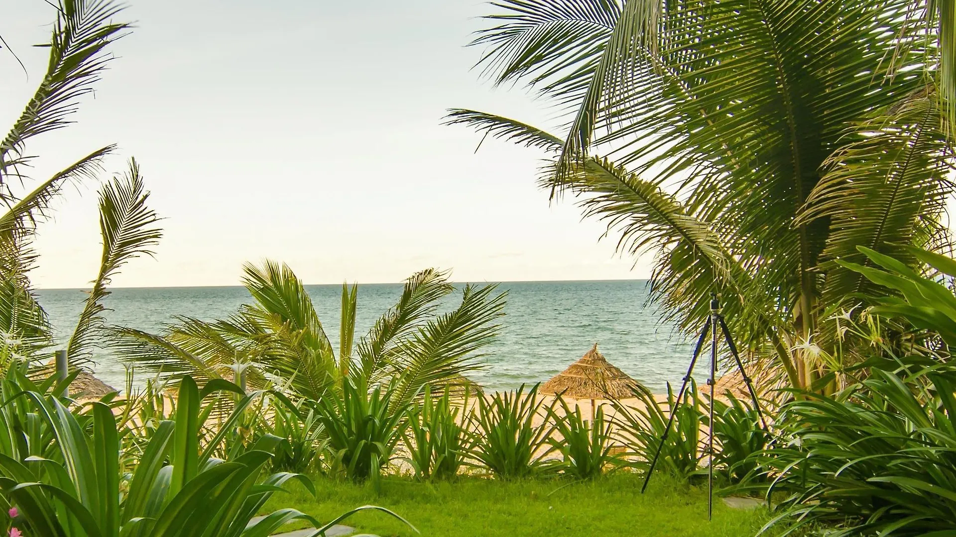 Tan Thanh Garden Homestay Hoi An