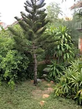 Tan Thanh Garden Homestay Hoi An