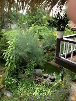 Tan Thanh Garden Homestay Hoi An